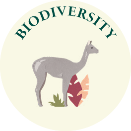 Biodiversity